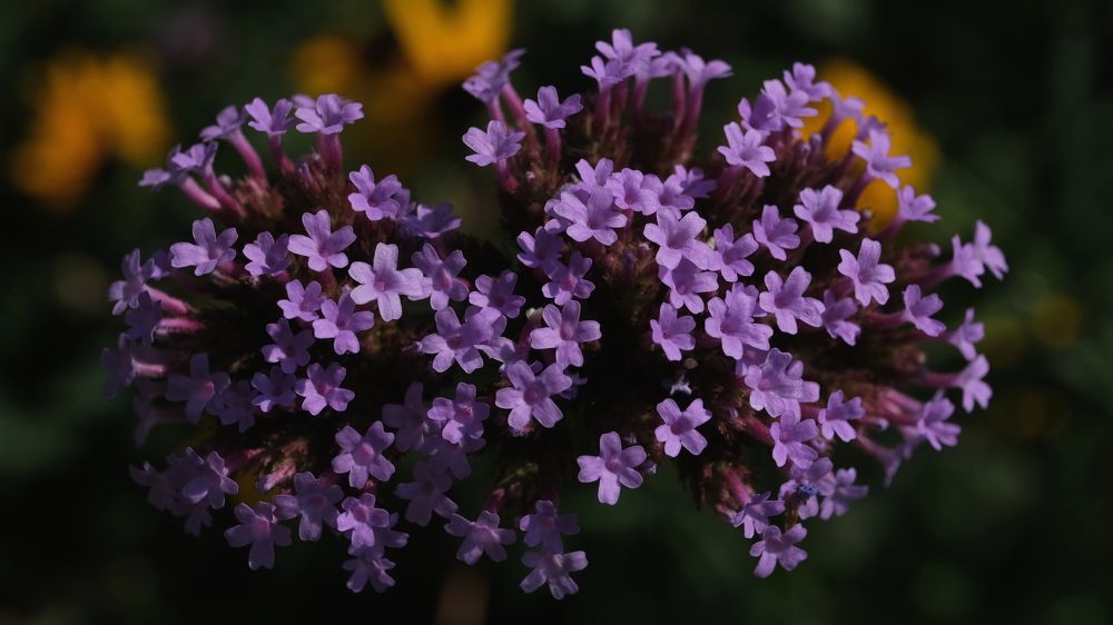 Photograph by Александр