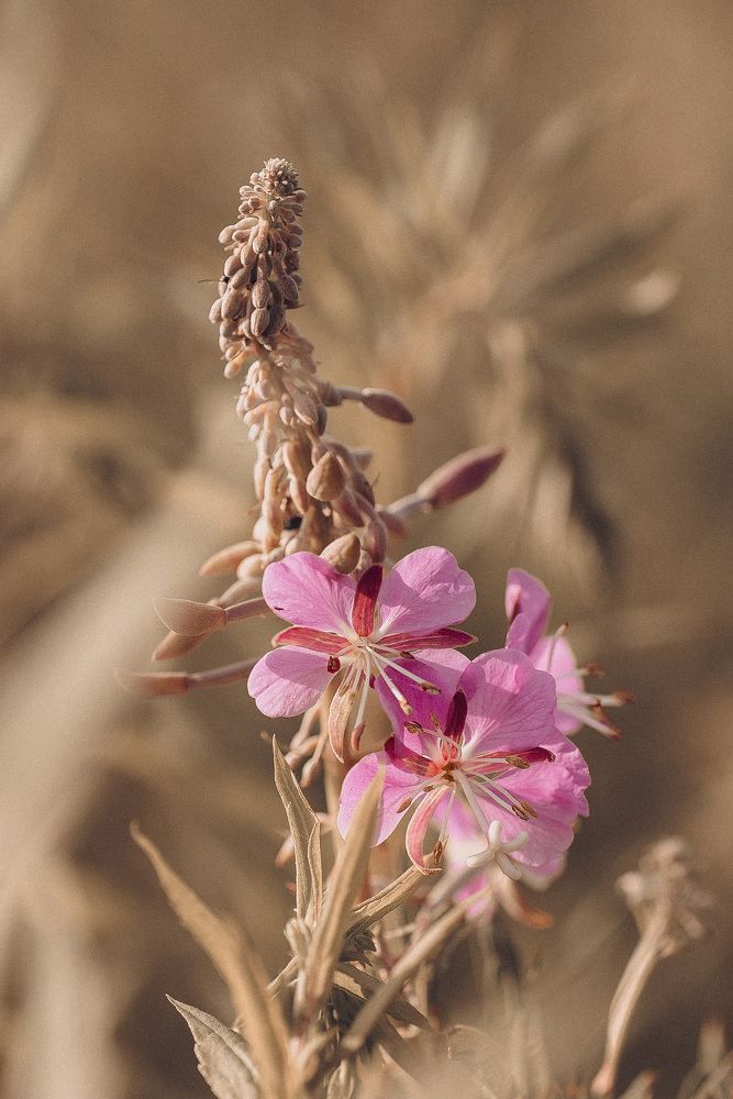 Photograph by Анна Бобкова