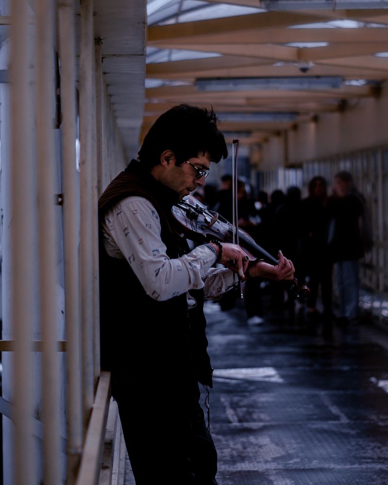 Фотография автора Mohammad Mohammadpour