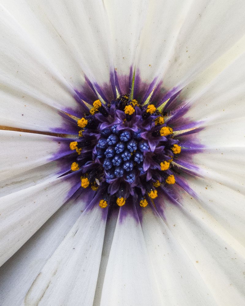 Фотография автора Mohammad Mohammadpour