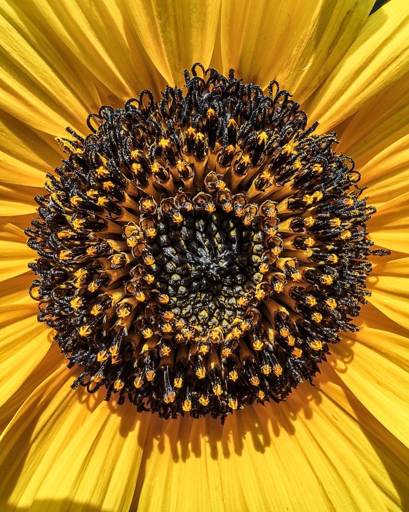 Фотография автора Mohammad Mohammadpour