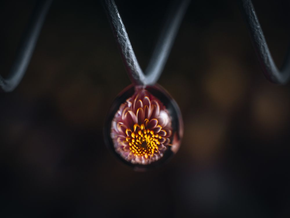 Photograph by Игорь Толкачев