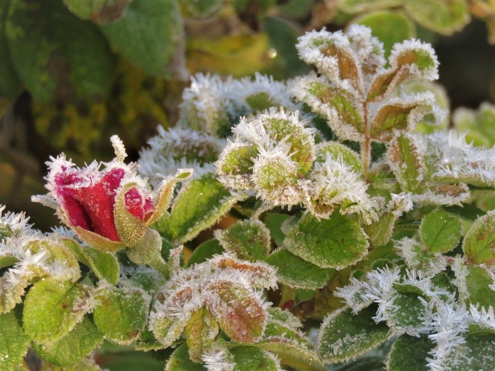 Photograph by Валерия Яскович