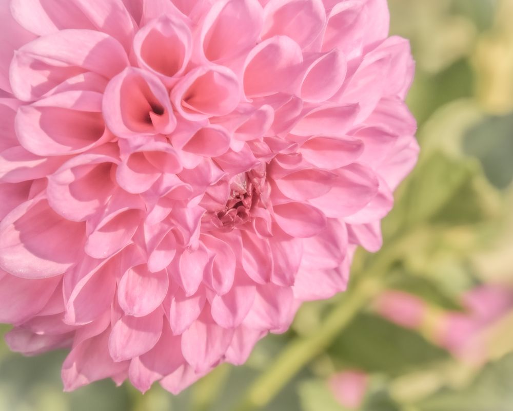 Photograph by Алена Лосева