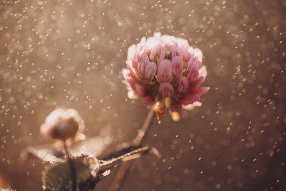 Photograph by Анна Бобкова