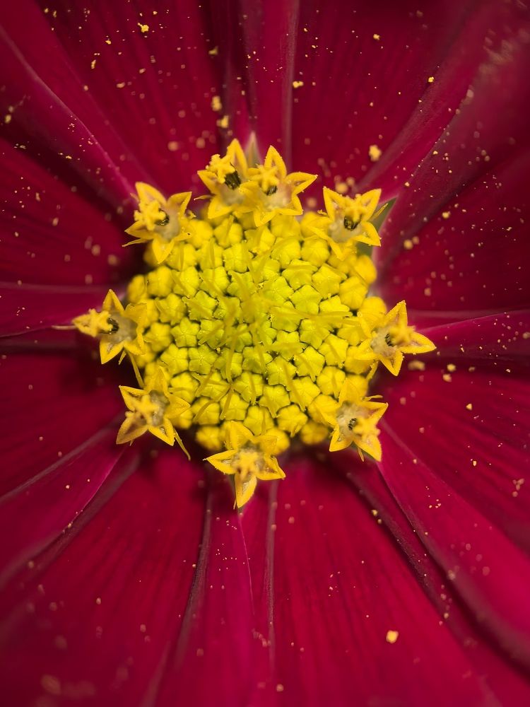 Photograph by Анна Епанчинцева