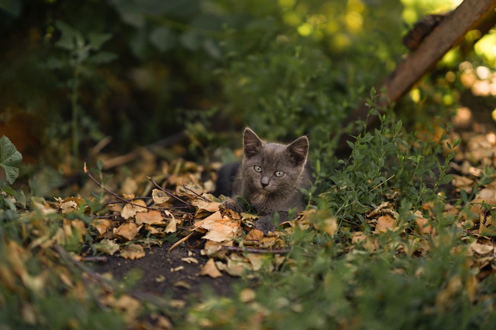 Photograph by Ирина Куляшова
