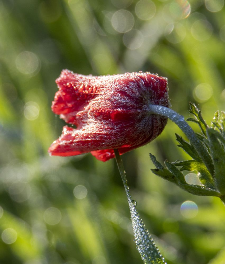 Photograph by Валентина Лопаткина