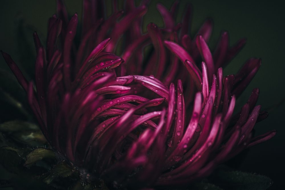 Фотография автора Павел Арсеев