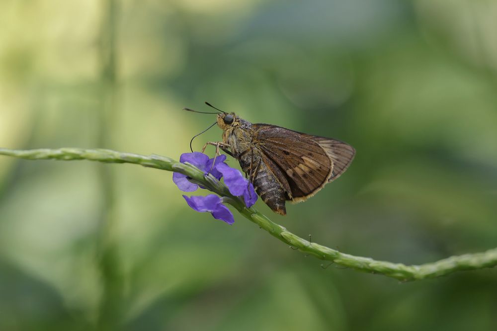 Photograph by Benny Chan