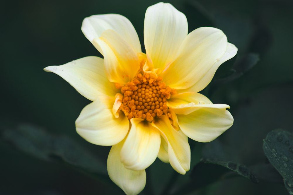 Фотография автора Павел Арсеев