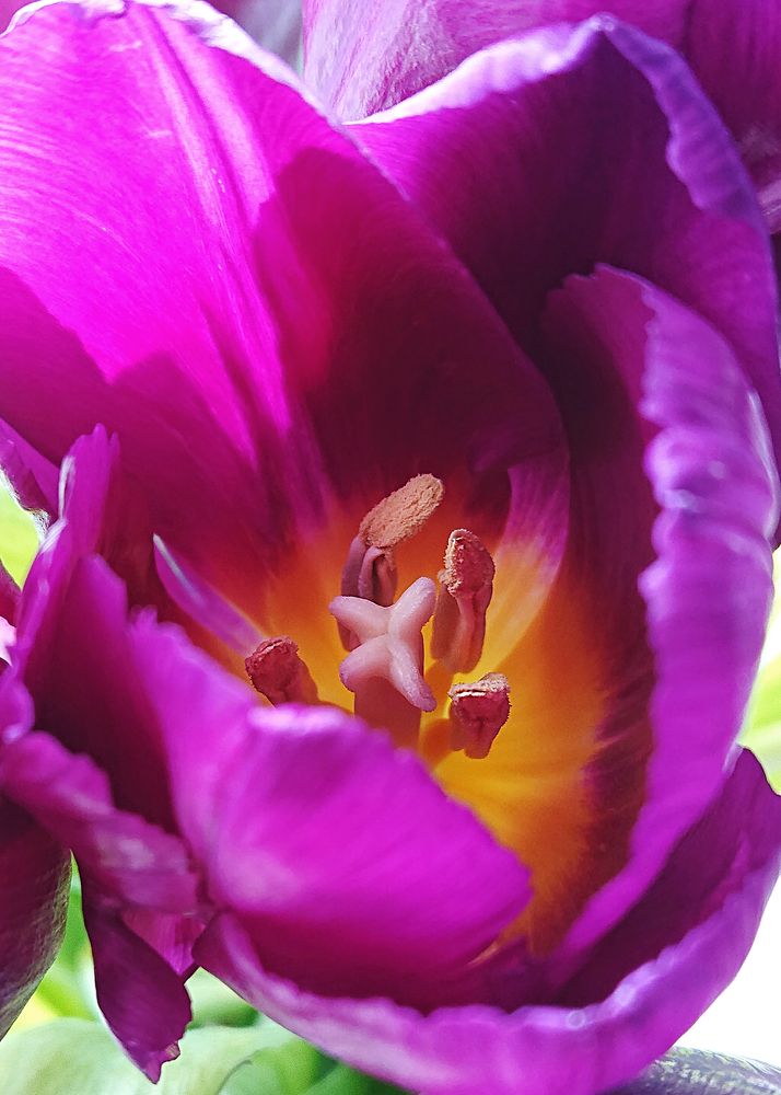 Светотень...