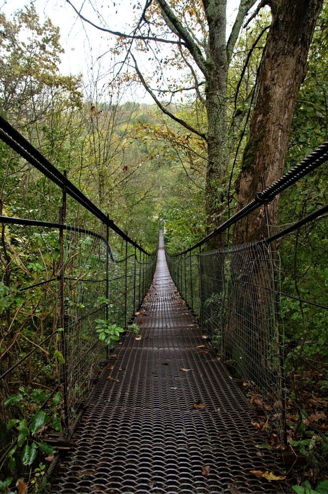 Photograph by Андрей Евтеев