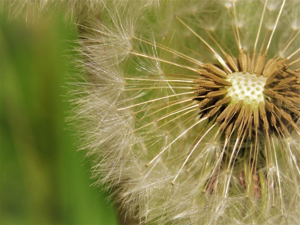 Photograph by Валерия Яскович