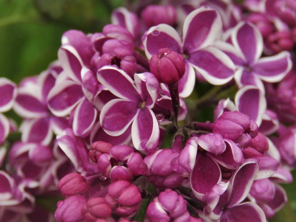 Photograph by Валерия Яскович