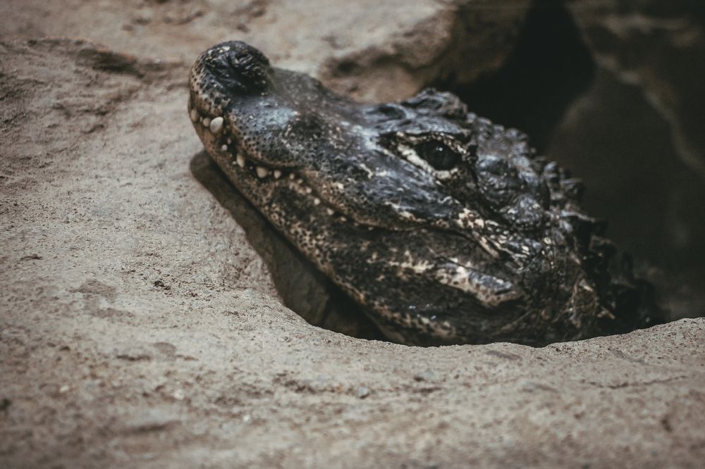 Photograph by Юлия Казакова