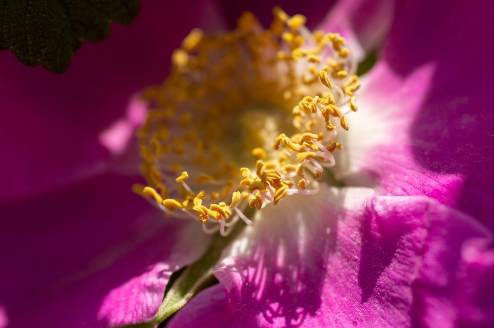 Photograph by Максим Захаров