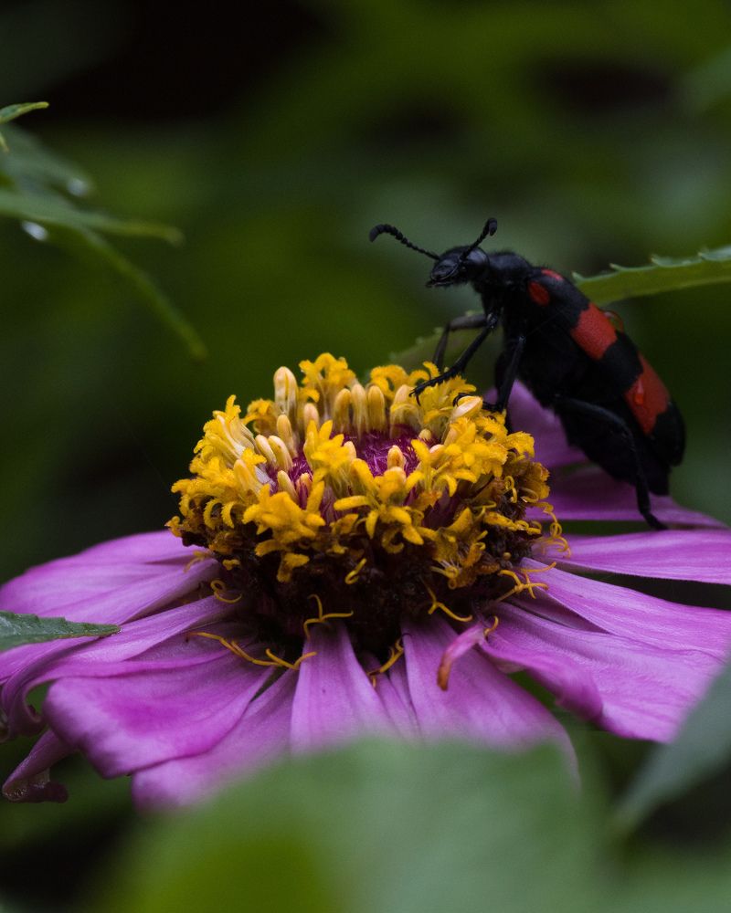 Photograph by Amit Singla