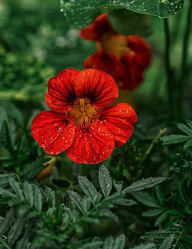 Photograph by Ольга Софронова