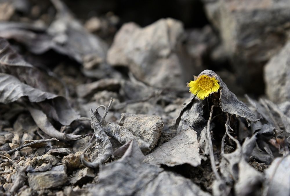 Фотография автора Тарас Махринский