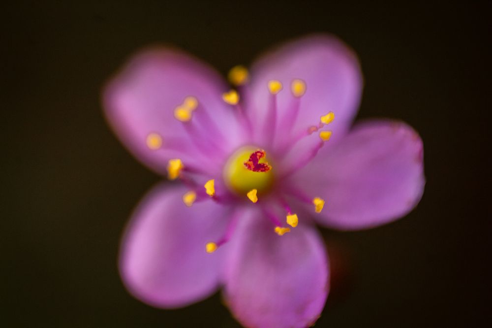 Photograph by Diego Santos