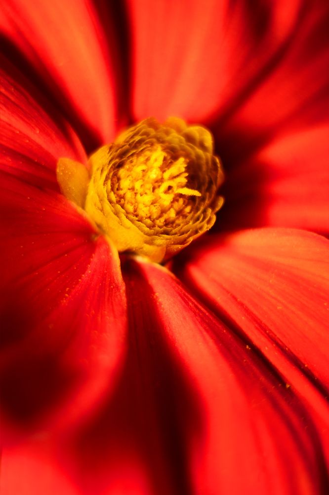 Photograph by Анна Дубинина