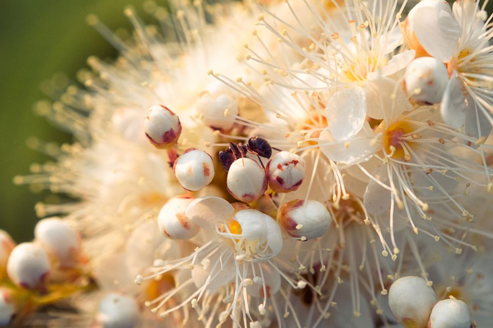 Photograph by Дмитрий Огольцов