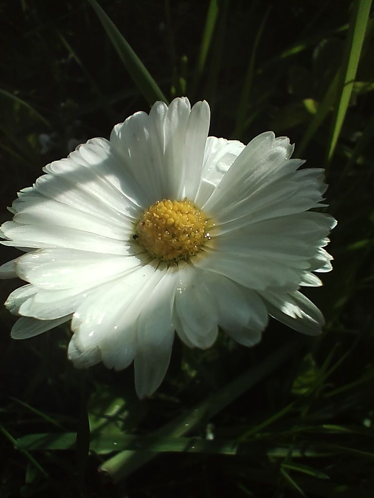 Photograph by Артем Великанов