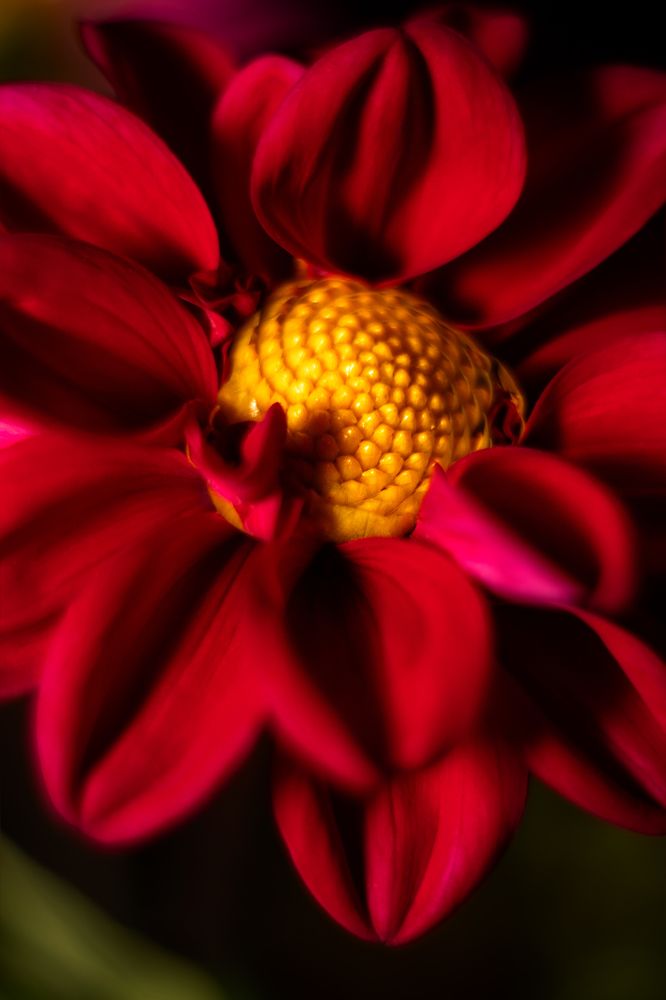 Photograph by Анна Дубинина