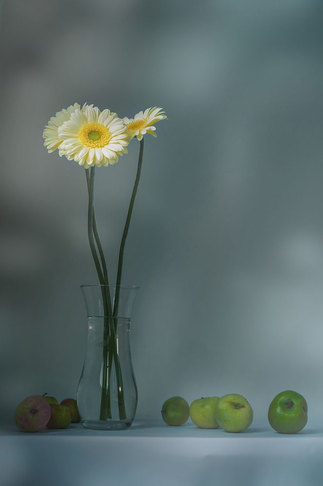 Photograph by Мария Никольская