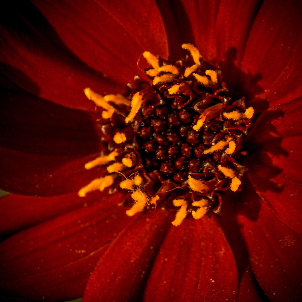 Photograph by Алена Лосева