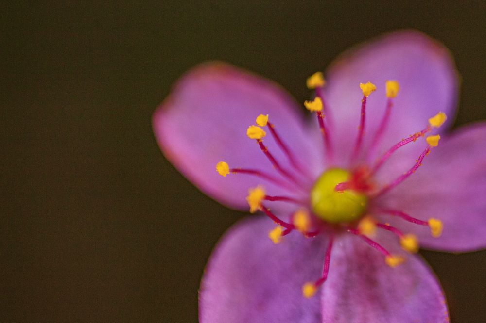 Photograph by Diego Santos