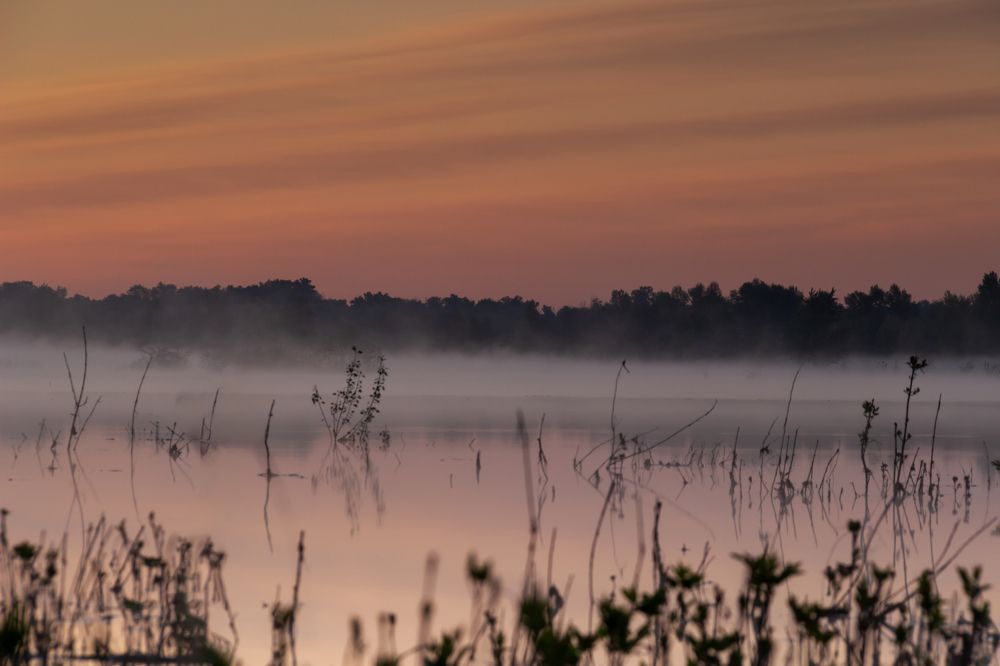 Photograph by Nastya Perekhodkina