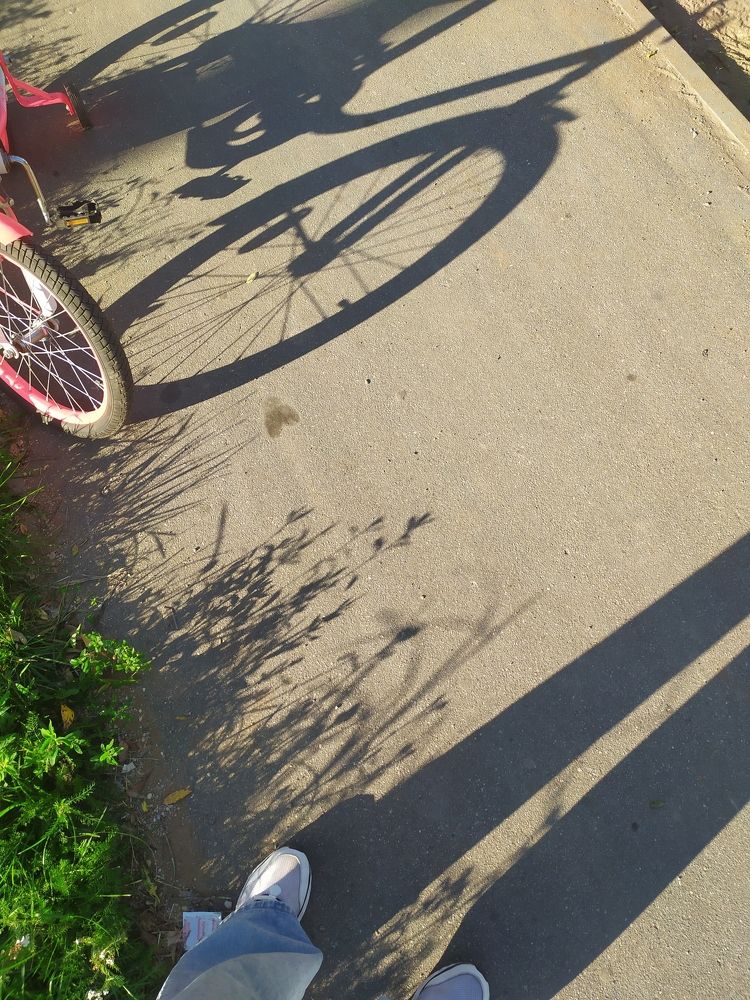 Photograph by Надежда Соколова