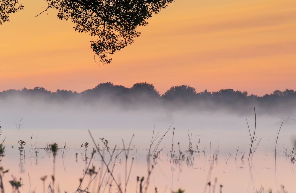 Photograph by Nastya Perekhodkina