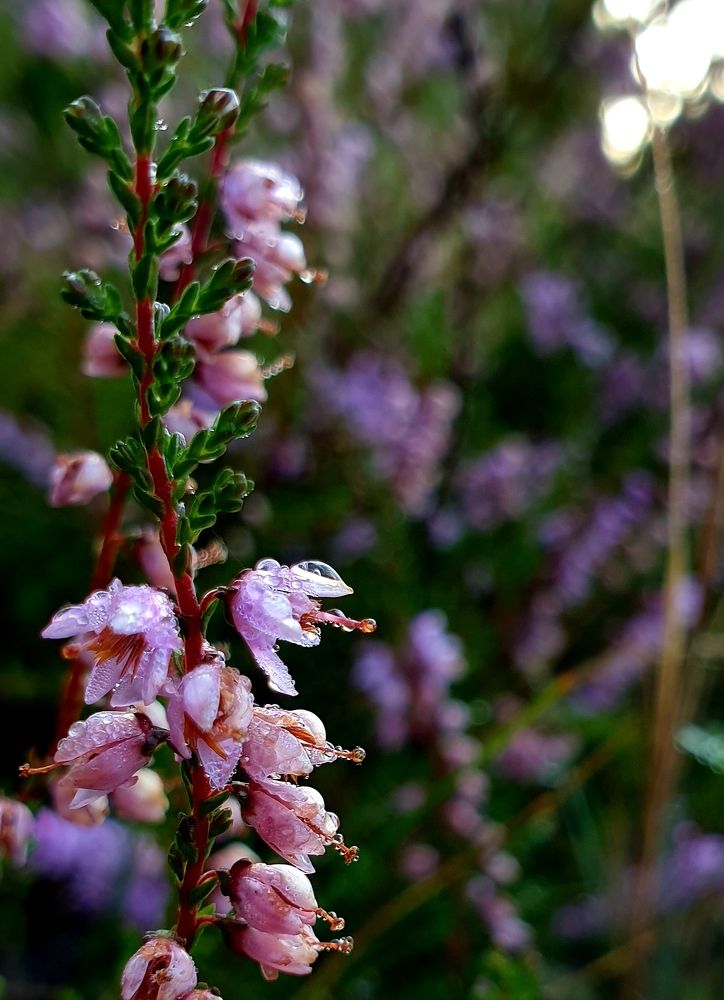 Photograph by Наталья Пагоцкая
