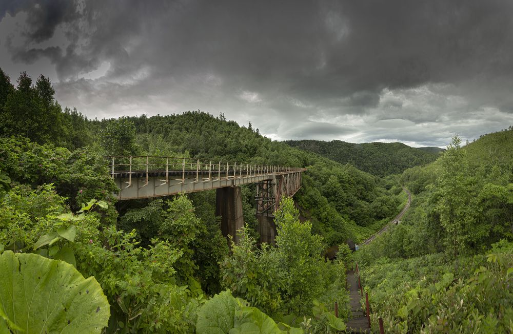 Фотография автора Лаврентьев Александр