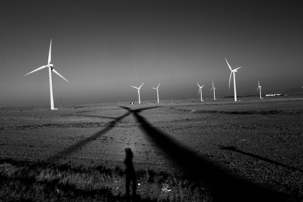 Photograph by seyed mostafa yousefi