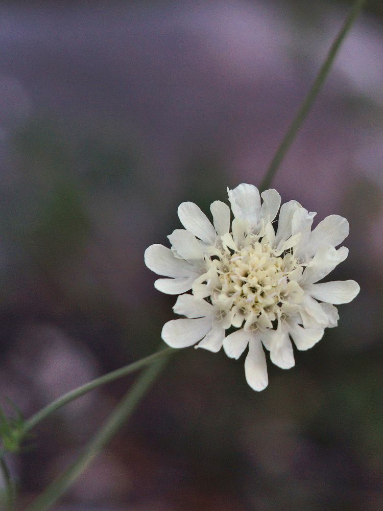 Photograph by Pakhomov Ilya