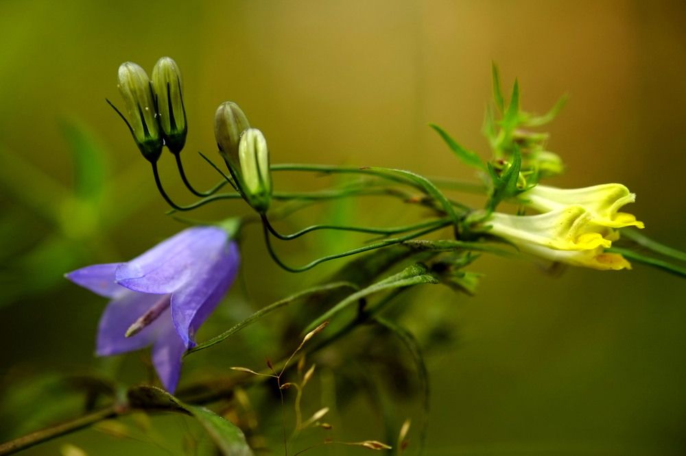 Photograph by Александр Строков