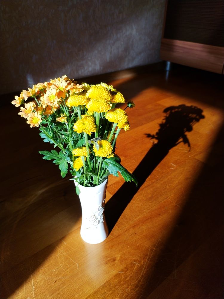 Photograph by Юлия Финогенова