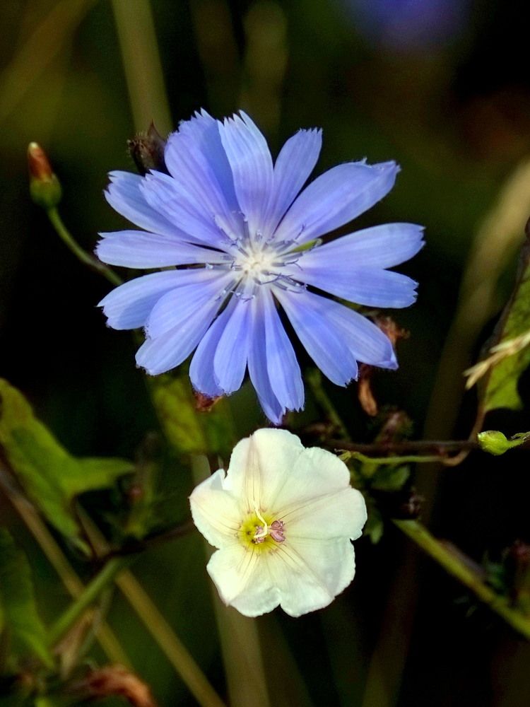 Photograph by Александр Строков