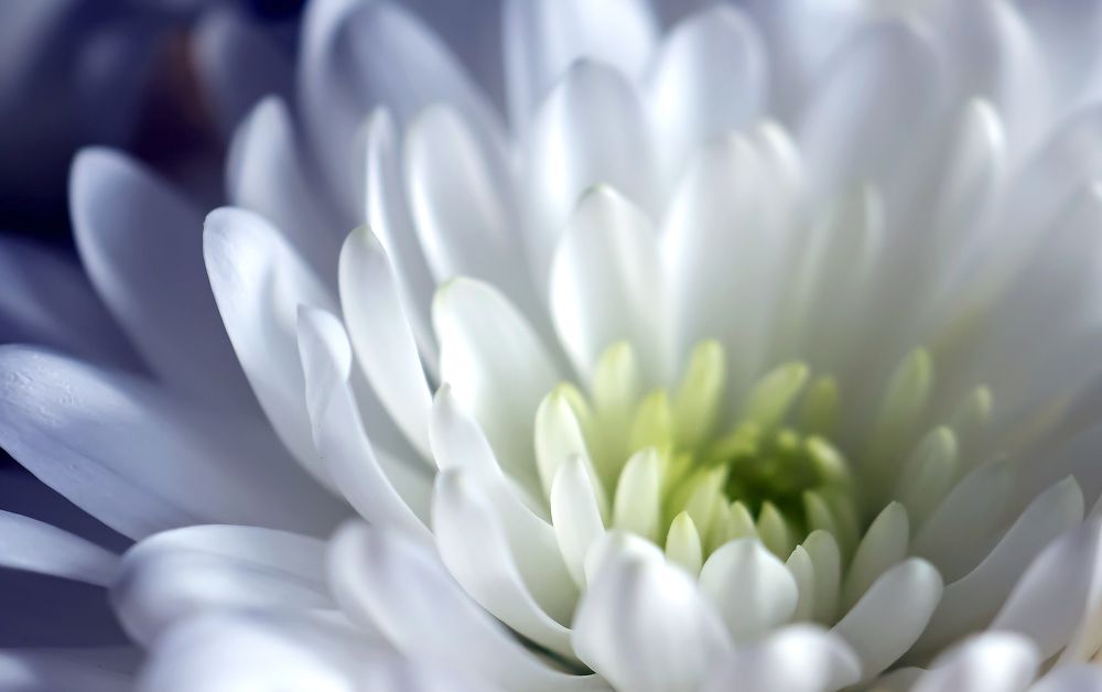 Photograph by Валерий Петров