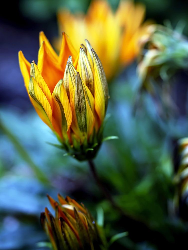 Photograph by Валерий Петров