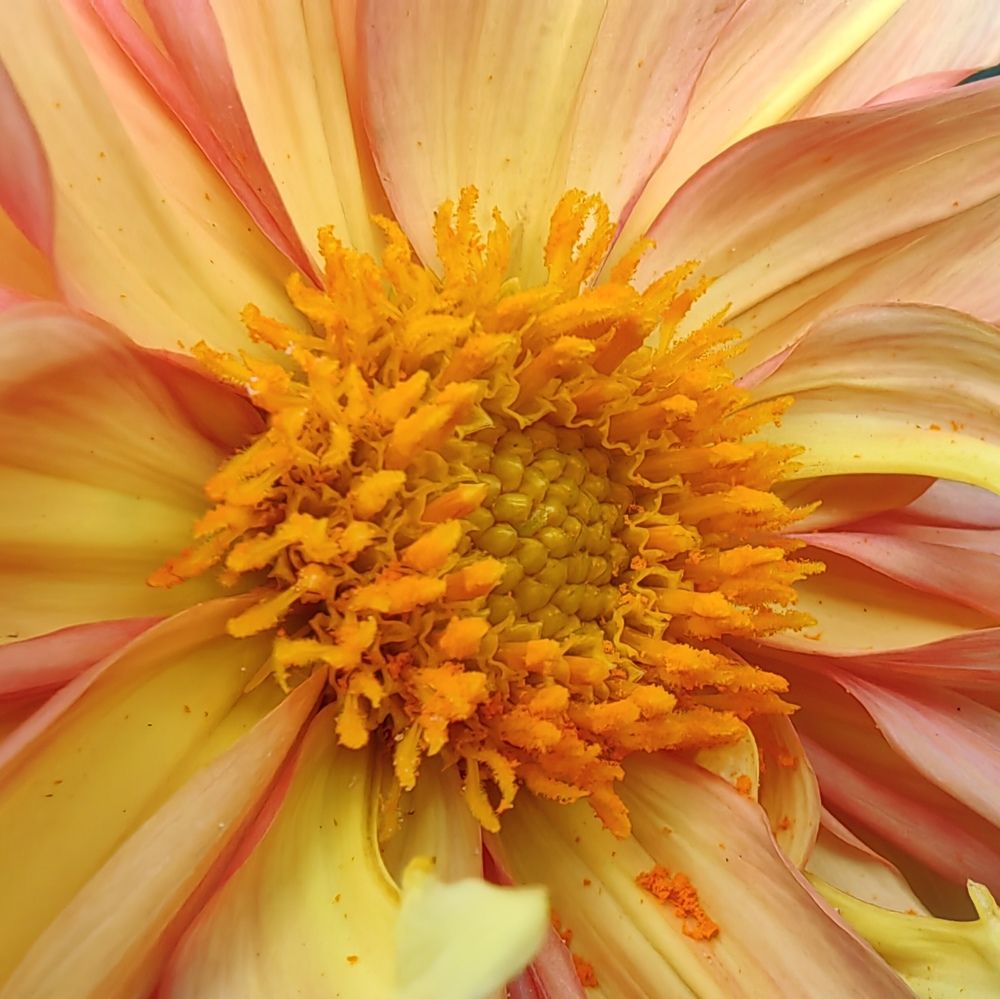 Photograph by Юрий Полушин