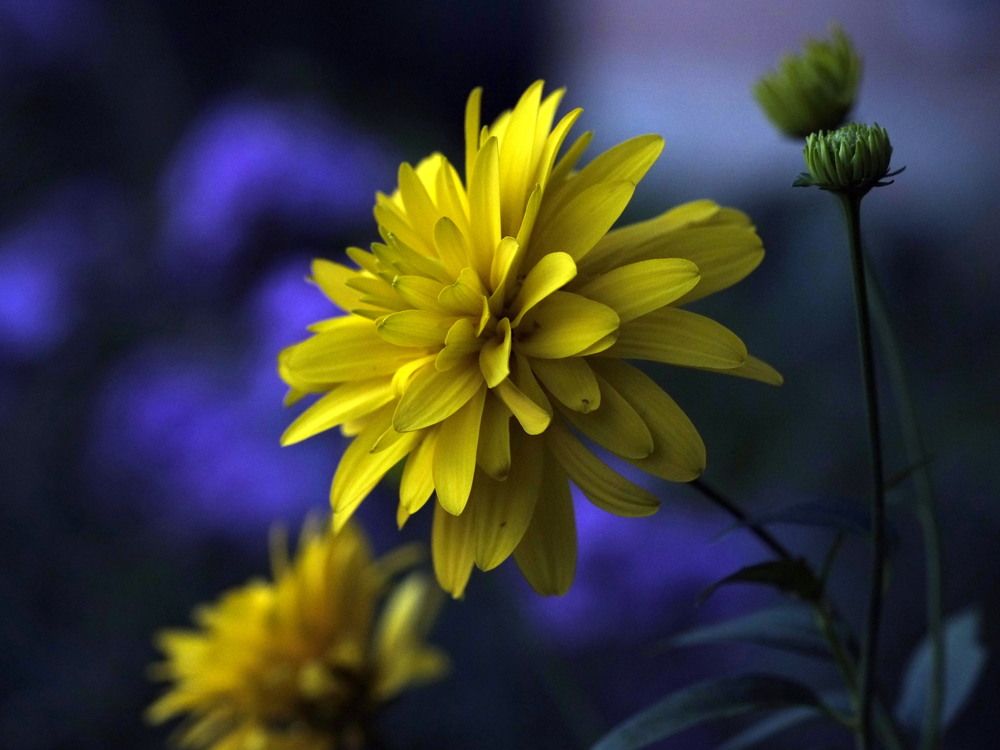 Photograph by Александр Строков