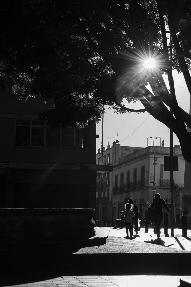 Photograph by Cesar Torres