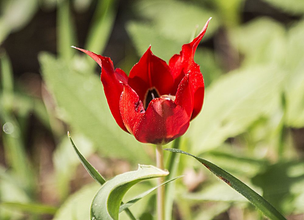 Photograph by Валентина Лопаткина