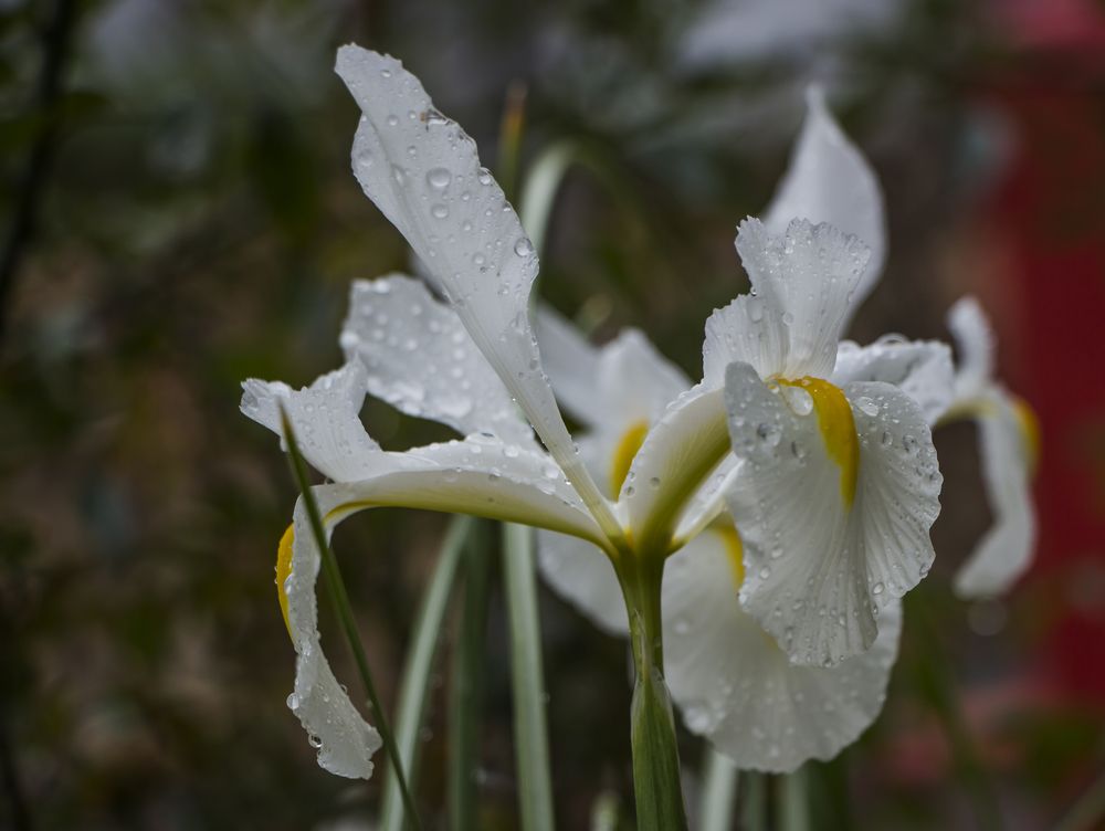 Photograph by Валентина Лопаткина