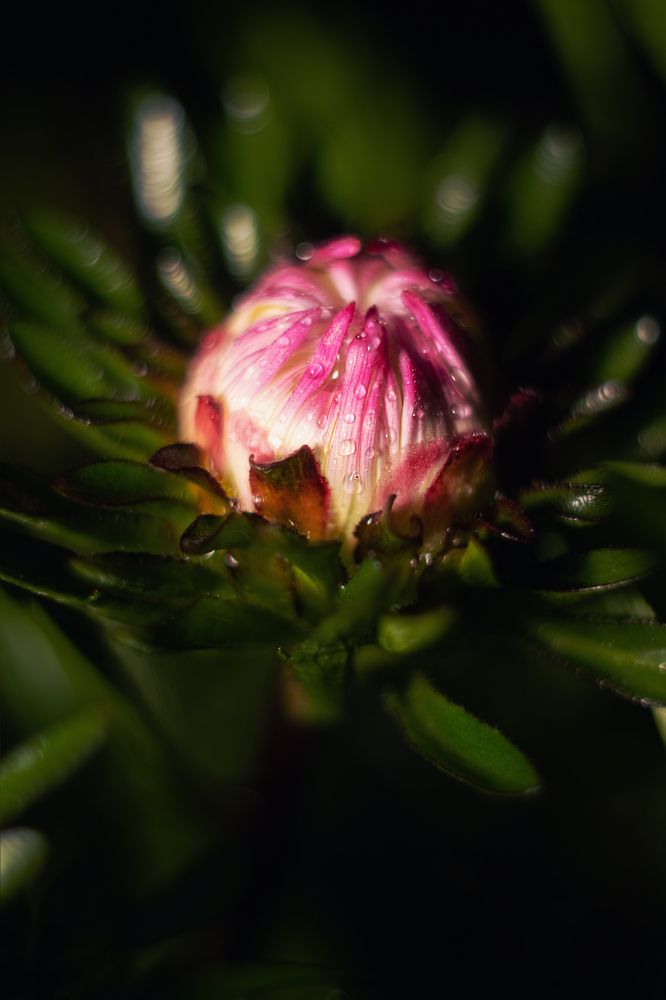 Photograph by Анна Дубинина